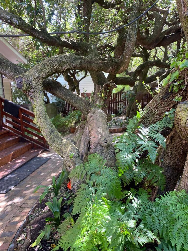 Melkboom Villa Franskraalstrand Dış mekan fotoğraf